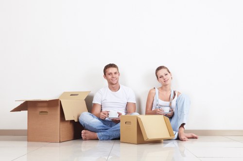 Formal review stage in a removals complaints procedure